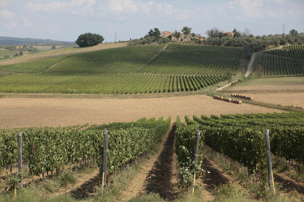 Agriturismo Spazzavento Vinci Eksteriør billede